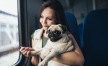 Woman and Dog on Train